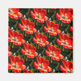 Red Tulips Pattern Magnet