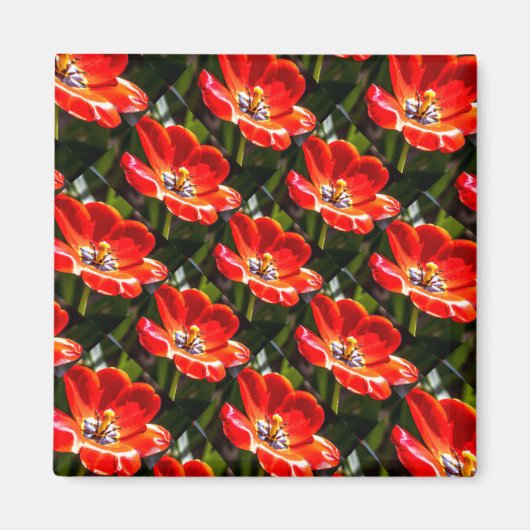 Red Tulips Pattern Magnet (Vorne)