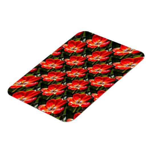 Red Tulips Pattern Magnet (Linke Seite)