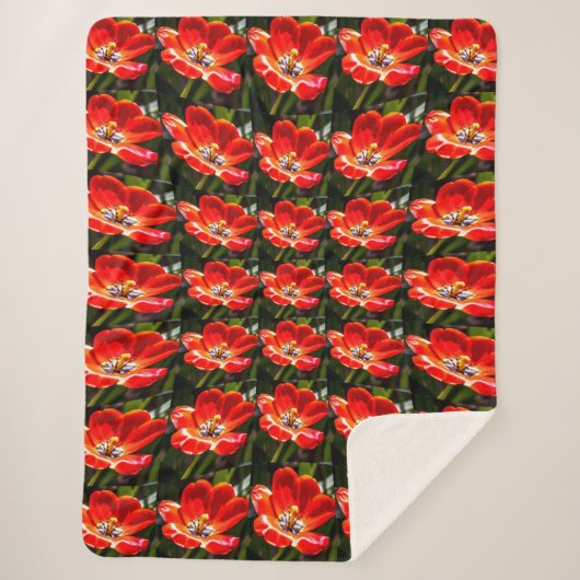 Red Tulips Pattern Sherpadecke (Vorderseite)