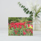RED TULIPS POSTKARTE (Stehend Vorderseite)