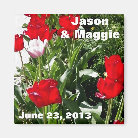 Red Tulips Save the Date Magnet (Vorne)
