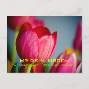 Red Tulips Save the Date Postcard Ankündigungspostkarte