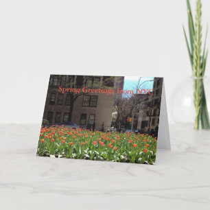 Red Tulips Spring Greetings von NYC-Karten Karte