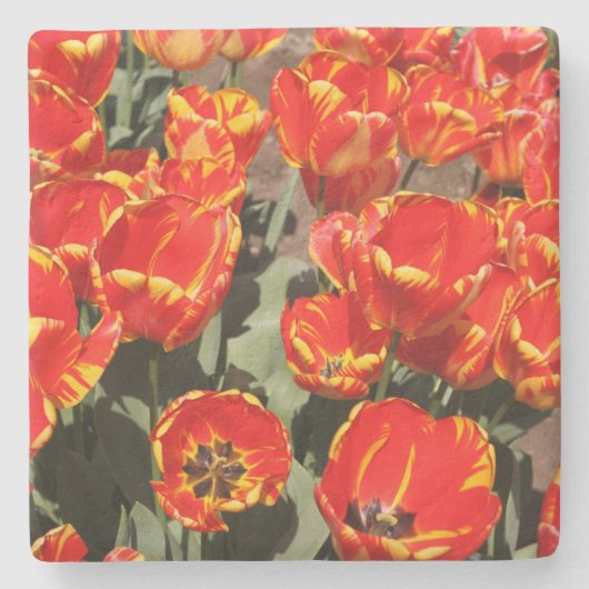 Red Tulips Stone Untersetzer (Vorderseite)