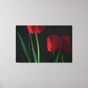Red Tulips Wrapped Canvas Leinwanddruck