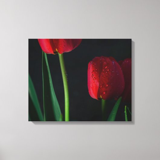 Red Tulips Wrapped Canvas Leinwanddruck (Vorderseite)
