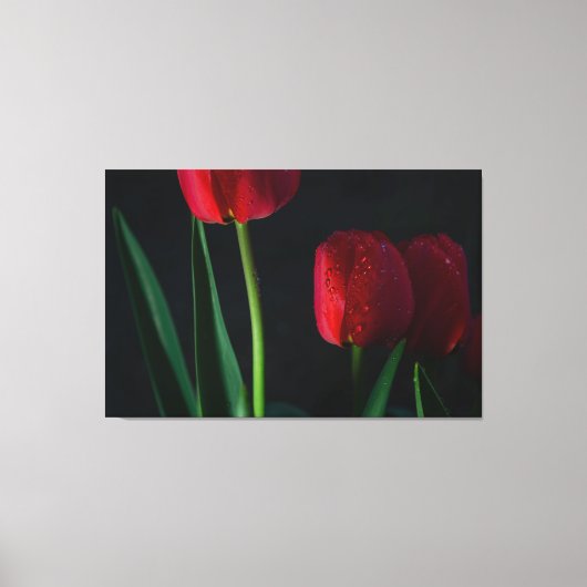 Red Tulips Wrapped Canvas Leinwanddruck (Vorderseite)