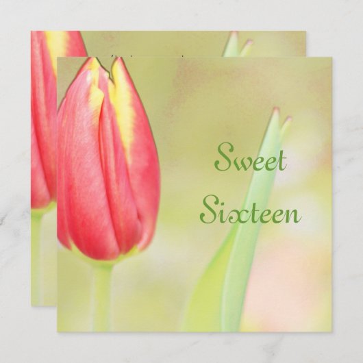 Red Tulpe 16 . Geburtstag - Einladung (Vorne/Hinten)
