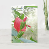 Red Turk's Cap Blume und Green Foliage Karte (Vorderseite)