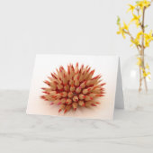 Red Urchin Karte (Gelbe Blume)