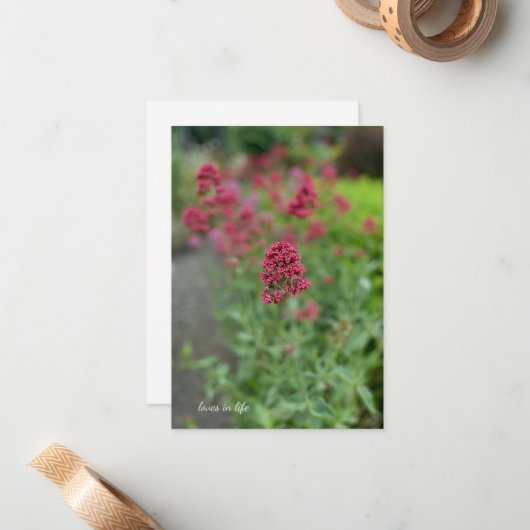 Red Valerian Mitteilungskarte (Vorderseite/Rückseite Beispiel)