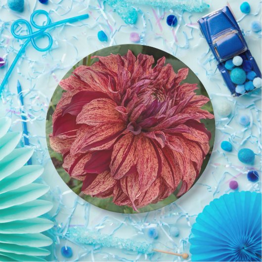 Red Variegated Dahlia Bloom Floral Pappteller (Party)