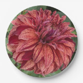 Red Variegated Dahlia Bloom Floral Pappteller (Vorderseite)