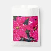 Red Variegated Poinsettias Weihnachtsblumen Geschenktütchen (Vorderseite)