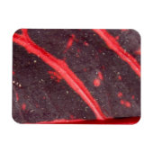 Red Veined Hawaiian Leaf 3 Magnet (Horizontal)