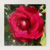 Red Velvet Bud Puzzle (Horizontal)