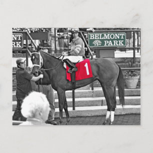 Red Velvet gewinnt die Jersey Girl Stakes Postkarte