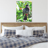 Red-vented Bulbul Leinwanddruck (Insitu (Schlafzimmer))