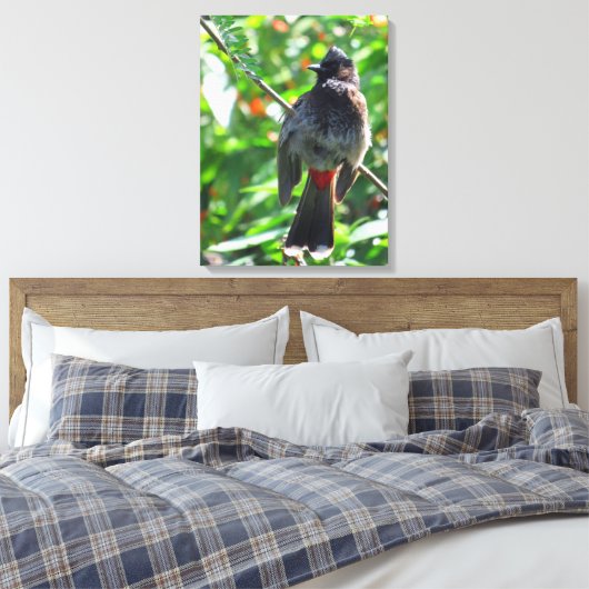 Red-vented Bulbul Leinwanddruck (Insitu (Schlafzimmer))