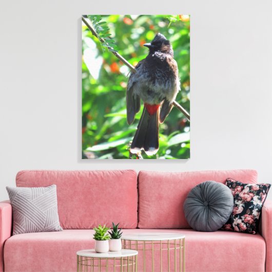 Red-vented Bulbul Leinwanddruck (Insitu (Wohnzimmer))