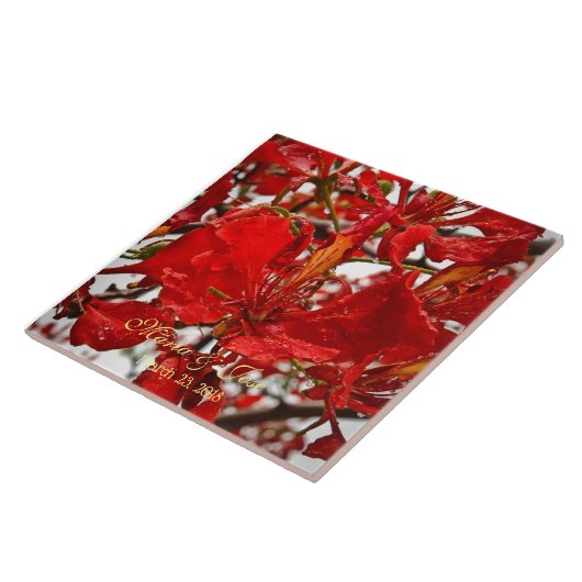 Red Vibrant Flamboyant Blume Wedding Keramik Tile Fliese (Seite)