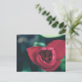 Red Vintag Tulip Postkarte (Stehend Vorderseite)