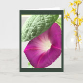 Red-Violet Morning Glory Blank Karte (Gelbe Blume)