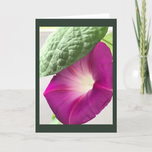 Red-Violet Morning Glory Blank Karte (Vorderseite)