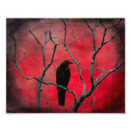 Red Vision Fotodruck