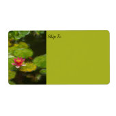 Red Water Lily Blossom Impressionistische Digitale (Vorne)