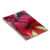 Red Watercolor Geranias Notizblock (Rechte Seite)