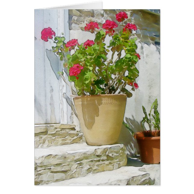 Red watercolor geranium (Vorne)