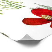 Red Watercolor Poppies Florals Poster (Ecke)