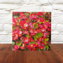 Red Wax Begonias Floral Fliese