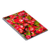 Red Wax Begonias Floral Notizblock (Rechte Seite)