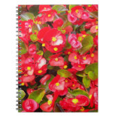 Red Wax Begonias Floral Notizblock (Vorderseite)