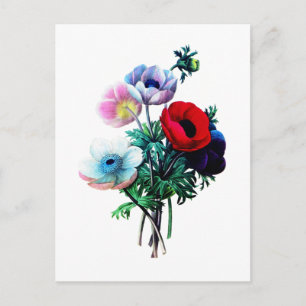 Red White and Blue Anemones von Redoute Postkarte