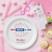 Red White and Due 4. Juli Patriotic Baby Dusche Pappteller (Party)