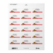 RED White Baseball Teamausrüstung Adressaufkleber (Vorne)