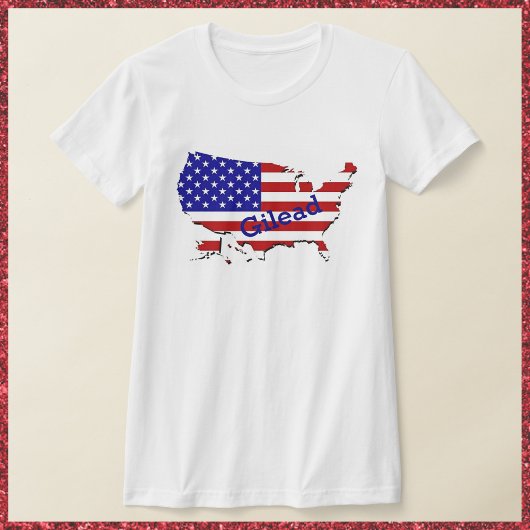 Red White & Blue Handmaiden USA T-Shirt