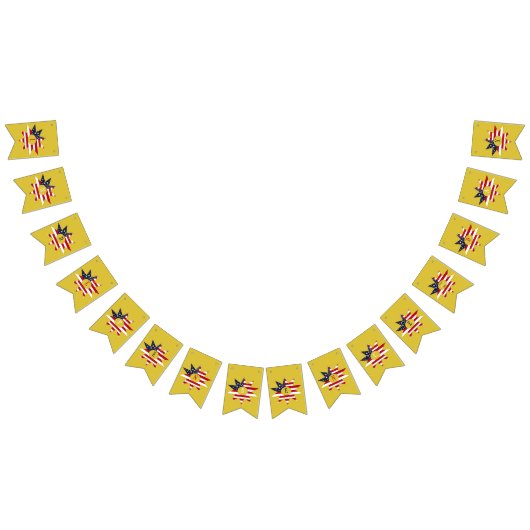 Red White Blue Star Wimpelkette (Alle)