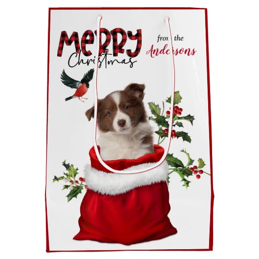 Red White Border Collie Puppy Dodge Weihnachten Mittlere Geschenktüte (Rückseite)
