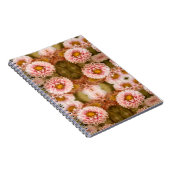 Red White China Aster Notizblock (Rechte Seite)
