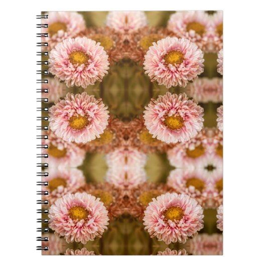Red White China Aster Notizblock (Vorderseite)