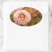 Red White China Aster Ovaler Aufkleber (Tasche)
