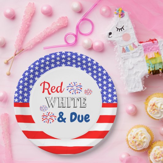 Red White & Due Baby Dusche Pappteller (Party)