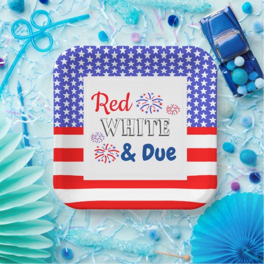 Red White & Due Baby Dusche Pappteller (Party)