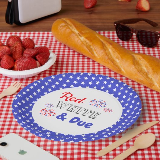 Red White & Due Pappteller (Picknick)
