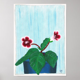 Red White Gloxinia African Violet Blume Poster